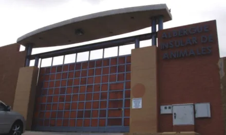Gran Canaria’s great work reducing animal abandonment and promoting responsible animal care