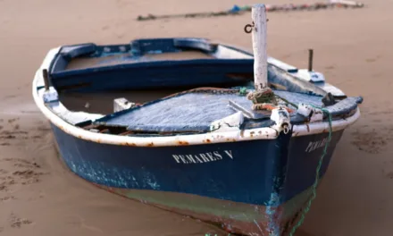 Disrupted: People trafficking network that brought hundreds of sub-Saharans to the Canary Islands