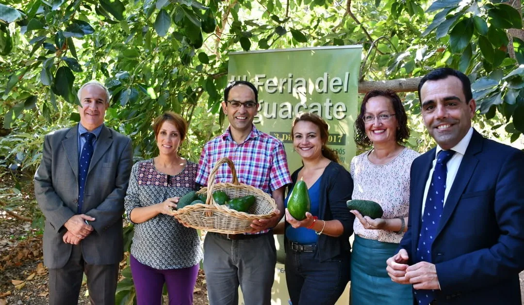 The 3rd Avacado Fair will be in Arguineguín on Sunday December 3rd