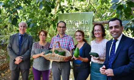 The 3rd Avacado Fair will be in Arguineguín on Sunday December 3rd