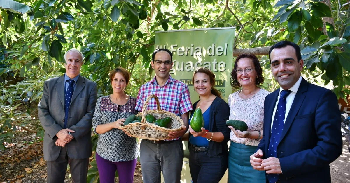 The 3rd Avacado Fair will be in Arguineguín on Sunday December 3rd