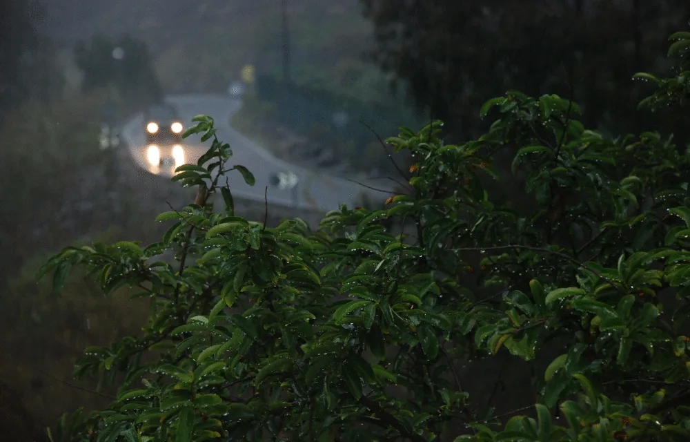 November rain predicted from mid week, increasingly likely on Gran Canaria around weekend