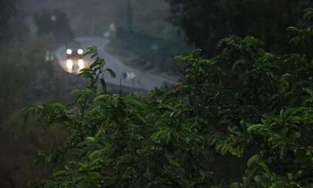 An autumnal week of wind and some rain across The Canary Islands