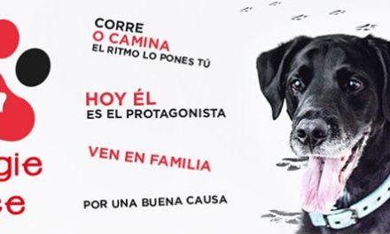Event: Doggie Race Las Palmas de Gran Canaria 2017
