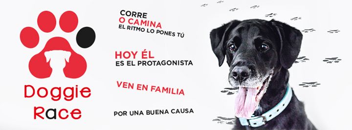 Event: Doggie Race Las Palmas de Gran Canaria 2017