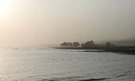 Weather: Dry African dust over Gran Canaria, with temperatures reaching up towards the mid 20s