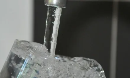 Public Health Department order immediate restrictions on water consumption in Arguineguín area
