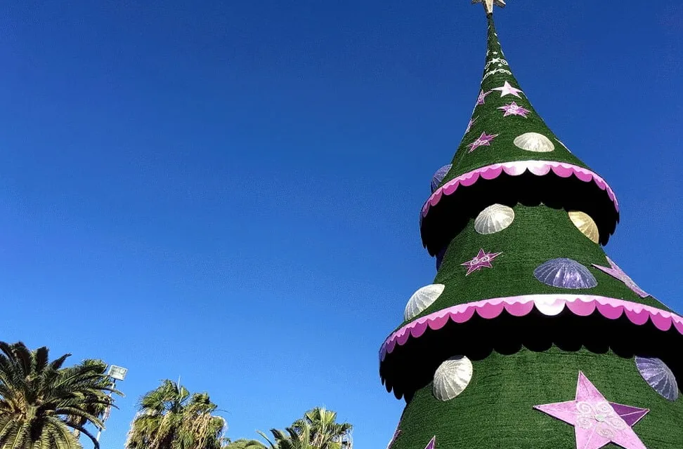 Weather: Clear blue skies and light breezes with a touch of Calima