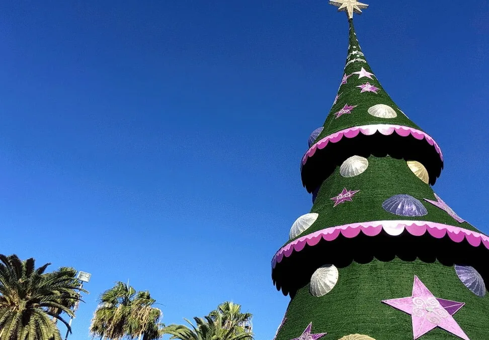 Weather: Clear blue skies and light breezes with a touch of Calima