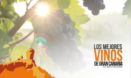 The best wines of Gran Canaria -guide