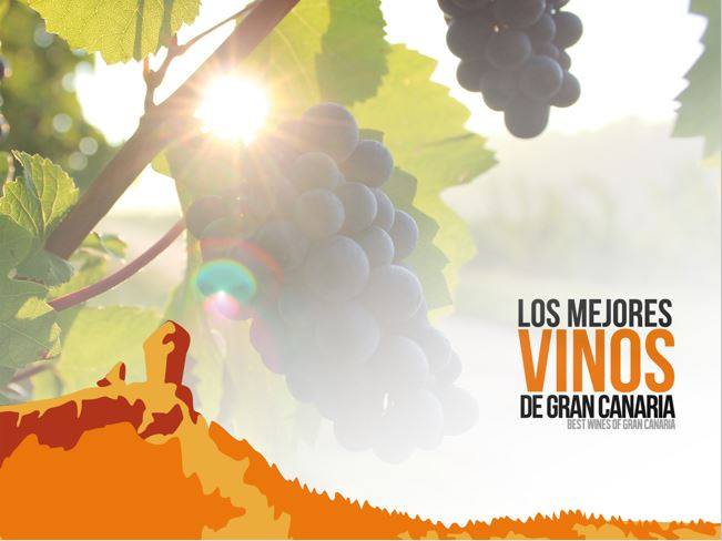 The best wines of Gran Canaria -guide