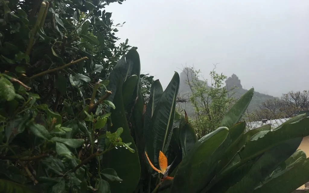 Weekend warnings of rain, wind and waves deliver a blustery Saturday with more on the way