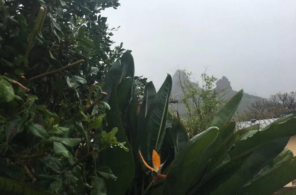 Weekend warnings of rain, wind and waves deliver a blustery Saturday with more on the way