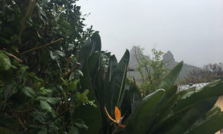 Gran Canaria Weather: Cloud, some rain and even the possibility of some snow…maybe