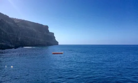 93 people drowned in the Canary Islands region during 2017