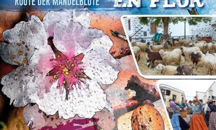 Events: Almond Blossom Route and festivities in Valsequillo 27-28 January