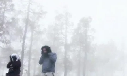 Gran Canaria prepares for 2nd snow storm in a week