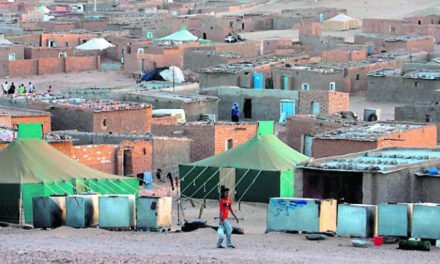 42 years of Saharawi resistance, Western Sahara’s right to decide