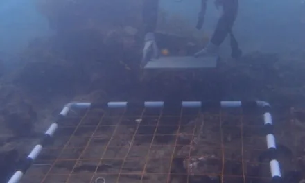 Underwater survey points to 300-year old ship wreck being of possibly British origins