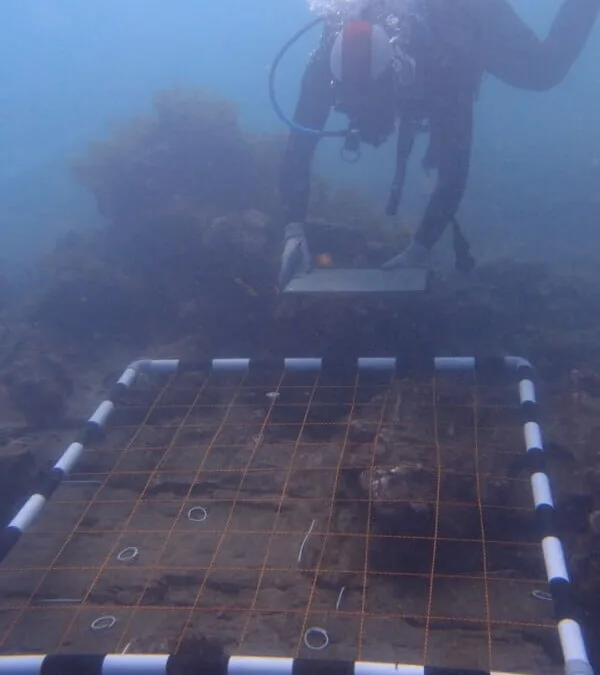Underwater survey points to 300-year old ship wreck being of possibly British origins