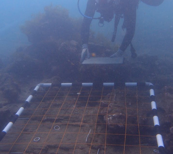 Underwater survey points to 300-year old ship wreck being of possibly British origins