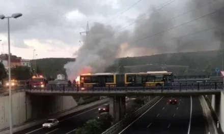 Las Palmas bus blaze by the GC-3 leaves no-one injured