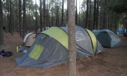 Cabildo opens a portal to manage online permits for camping areas