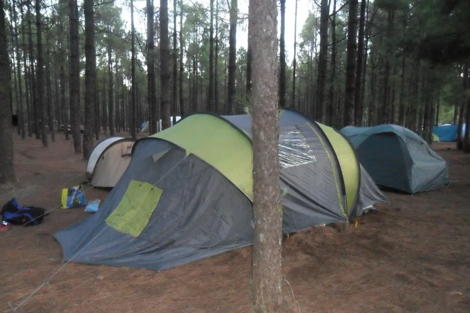Cabildo opens a portal to manage online permits for camping areas