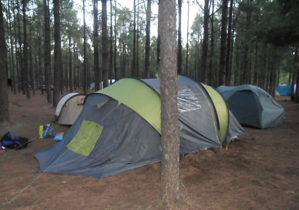 Cabildo opens a portal to manage online permits for camping areas