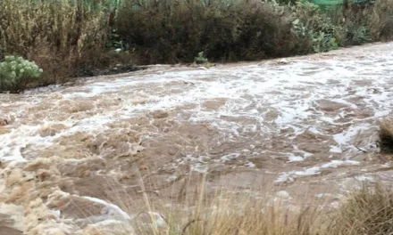 Canarian Government issue urgent warnings to help you keep safe during the coming Storm Hermine