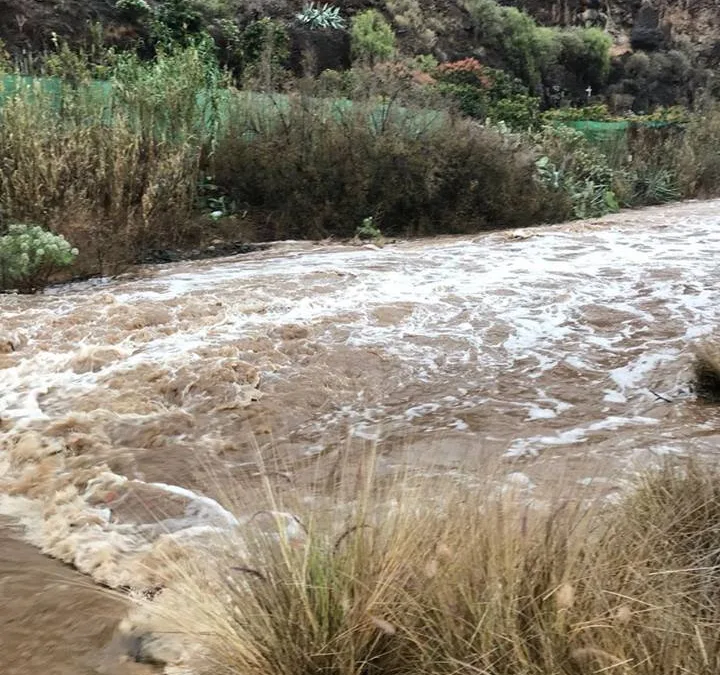 Canarian Government issue urgent warnings to help you keep safe during the coming Storm Hermine
