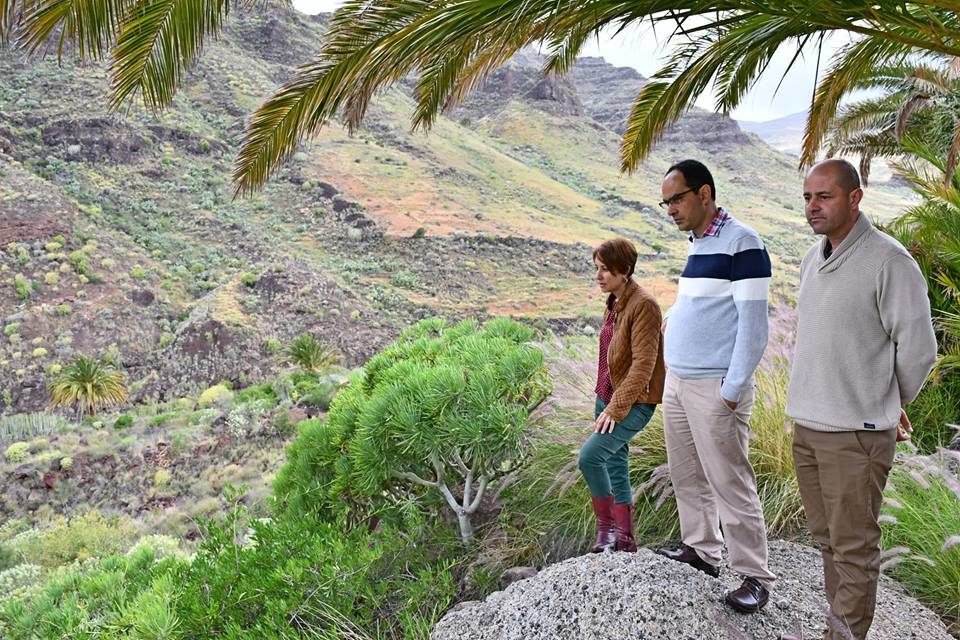 Mogán kicks off Gran Canaria project for reforestation of ravines through the Green Forest Fund