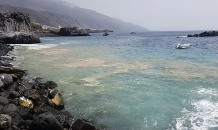 The Canary Islands Government announce introduction of boat to collect micro-algae this summer