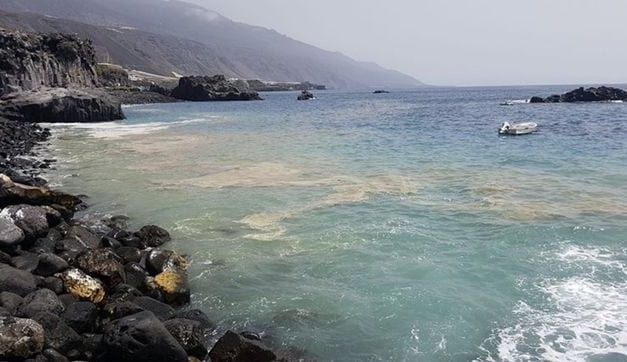 The Canary Islands Government announce introduction of boat to collect micro-algae this summer