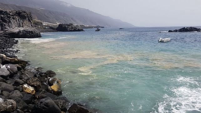 The Canary Islands Government announce introduction of boat to collect micro-algae this summer