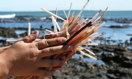 #WorldOceansDay – Gran Canaria Clean Beach Litter-Pick aims to beat the record for most nationalities participating