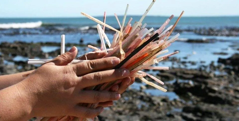 #WorldOceansDay – Gran Canaria Clean Beach Litter-Pick aims to beat the record for most nationalities participating