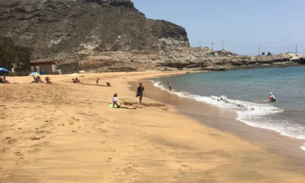 The ex-chief of Costas being prosecuted for Tauro Beach claims he is the victim of “a trap”