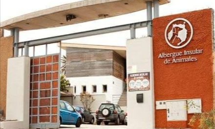 The Cabildo updates official adoption procedures at Gran Canaria’s main animal shelter