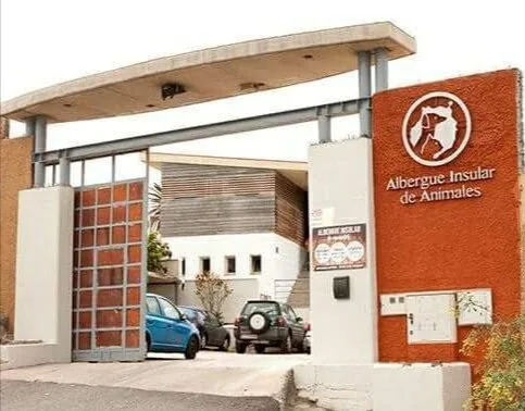 The Cabildo updates official adoption procedures at Gran Canaria’s main animal shelter