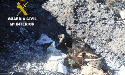 Livestock farm owner detained for animal abuse and possession of a machine gun