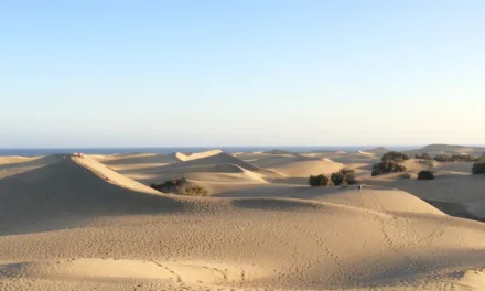 Masdunas plan to move 60,000 m3 of sand from Maspalomas to Playa del Inglés