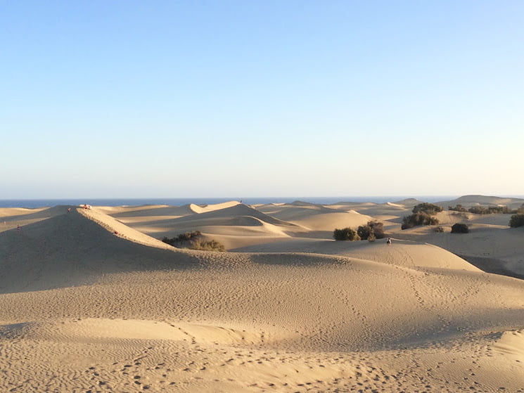 Masdunas plan to move 60,000 m3 of sand from Maspalomas to Playa del Inglés