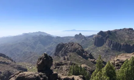Heat advisory for the south west of Gran Canaria this Friday…