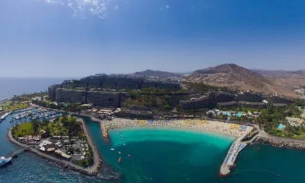 Anfi Sales and Anfi Resorts declared bankrupt with a €56m debt they cannot pay