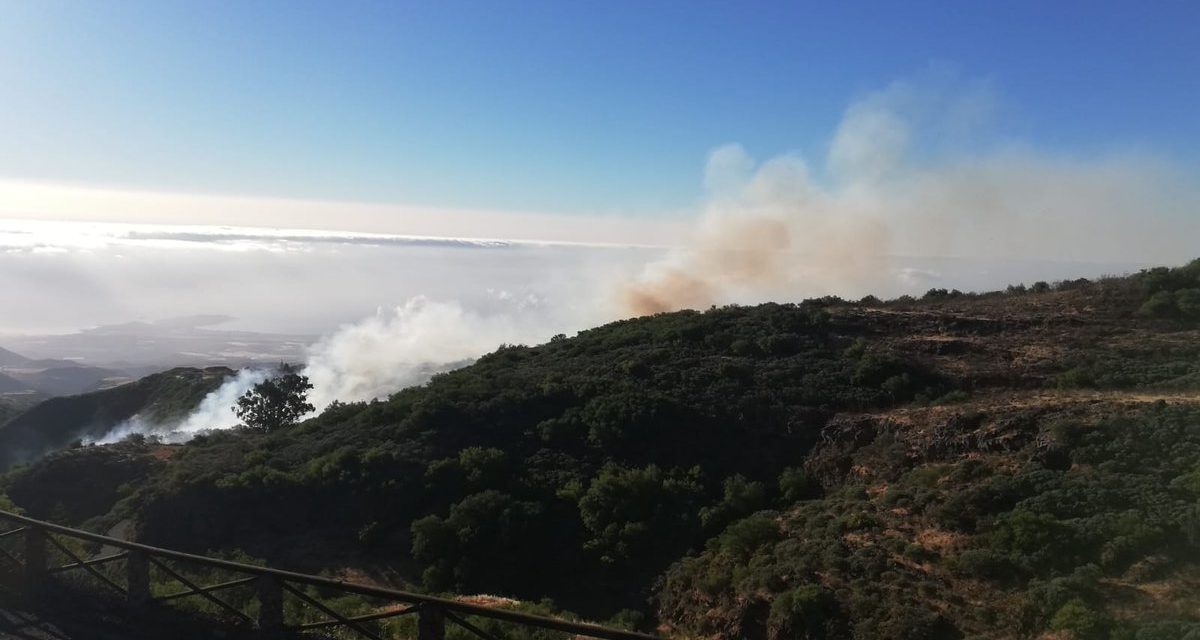 Mountain fire brought under control between Cazadores and La Pasadilla