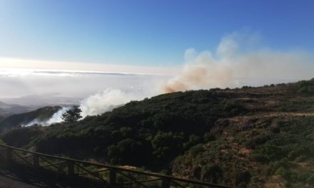 Mountain fire brought under control between Cazadores and La Pasadilla