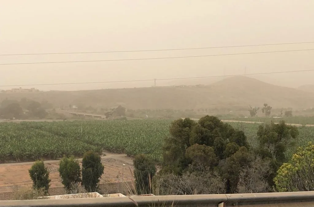 Turbulent Atlantic storms suck Saharan sands out over Canary Islands