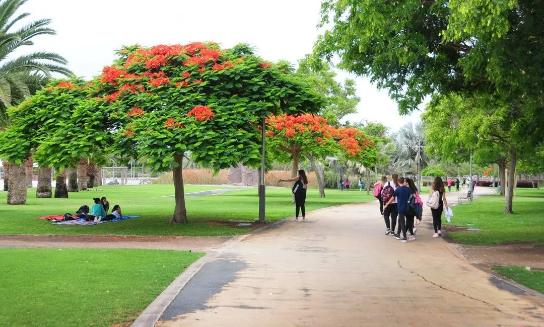The Parque Sur Maspalomas closes completely between 10-16 September