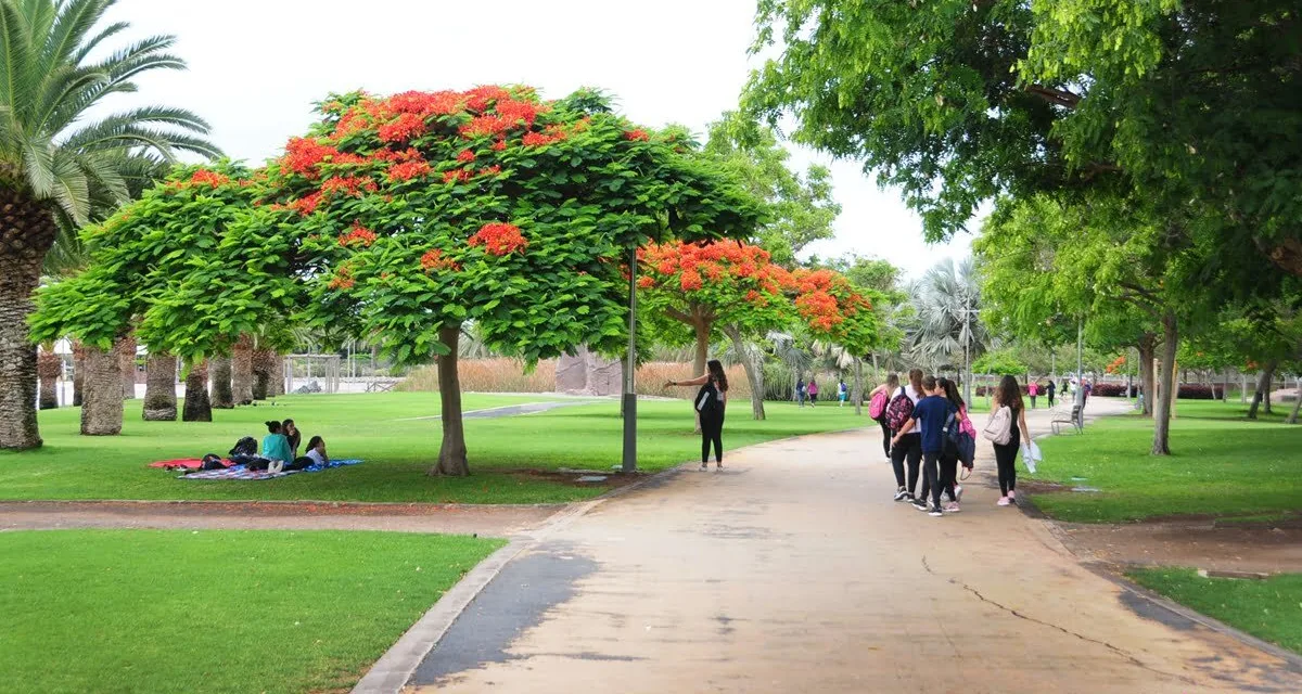 The Parque Sur Maspalomas closes completely between 10-16 September